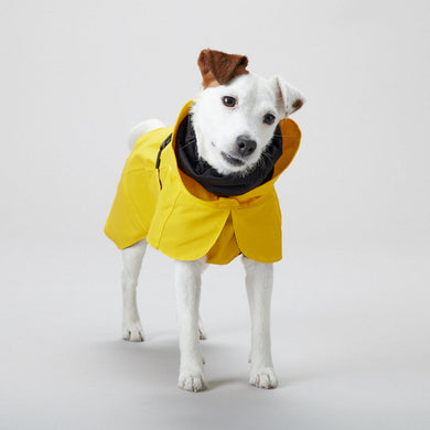PAIKKA Raincoat