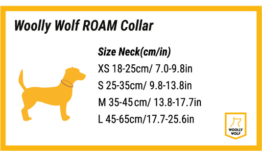 WW Roam Collar Terracotta Ripple