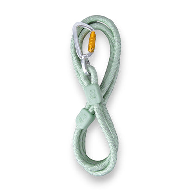 WW Rope Leash Glacier Green 10mm