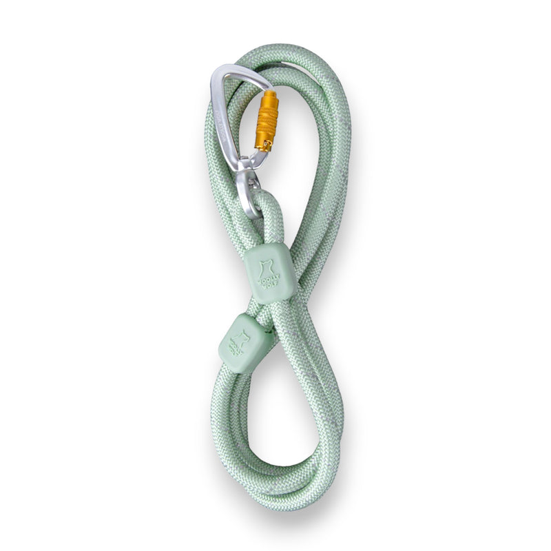 Indlæs billede i Gallery Viewer, WW Rope Leash Glacier Green 10mm
