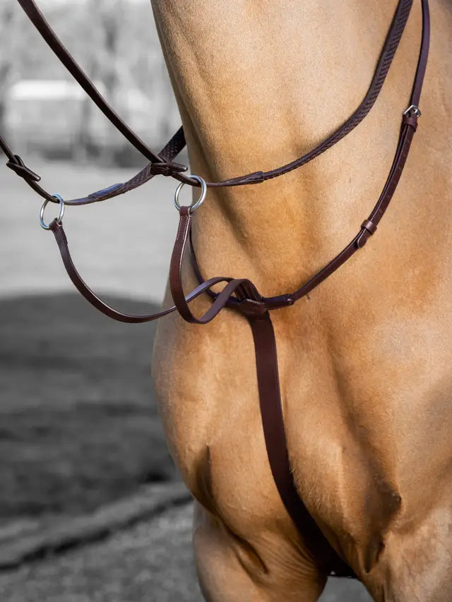 Indlæs billede i Gallery Viewer, LM(F) CORE Arika Running Martingale Havana
