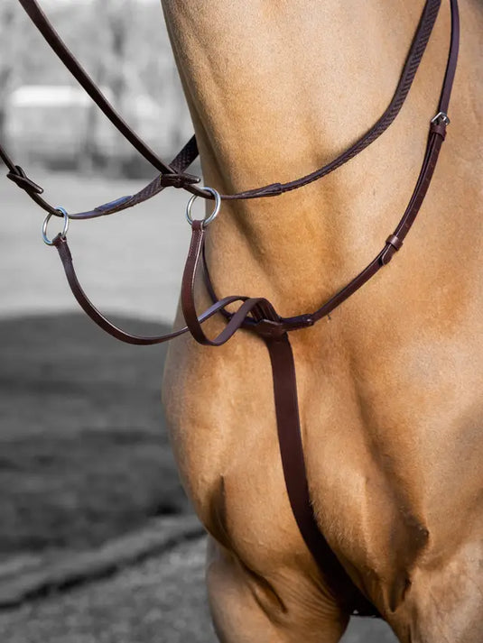 LM(F) CORE Arika Running Martingale Havana