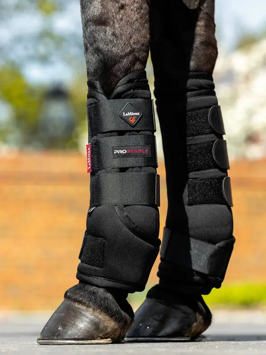 LM(F) CORE Stable Boots Black