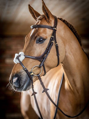 LM Kudos Grackle Bridle, Havana
