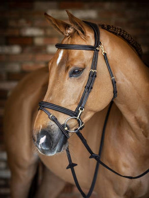 LM Kudos Work Bridle, Brown