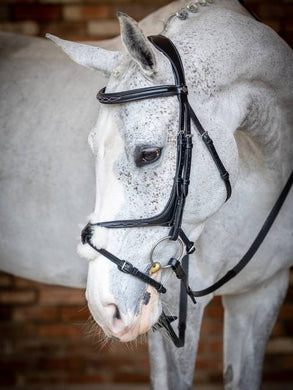 LM Kudos Grackle Bridle Black