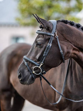 LM Kudos Work Bridle Black