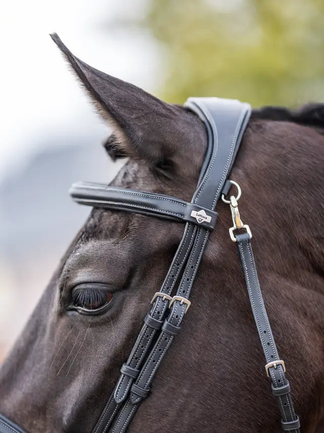 Indlæs billede i Gallery Viewer, LM CORE Kudos Work Bridle Black
