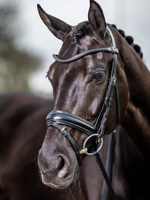 LM Kudos Classic Dressage Bridle, Black
