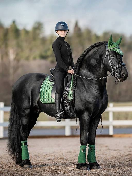 Indlæs billede i Gallery Viewer, LM Loire Classic Dressage Square HUNTERGREEN
