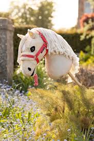 Harlow Hobby Horse Headcollar & Leadrope Coral Crush