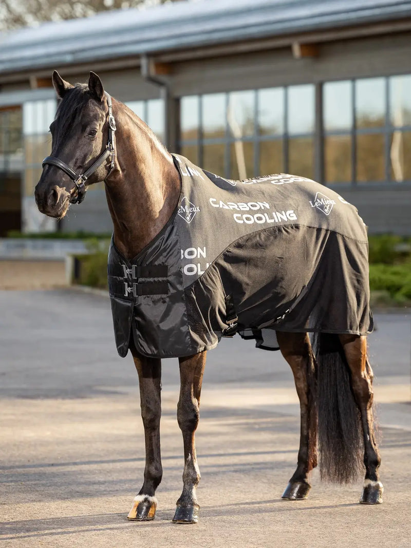 Indlæs billede i Gallery Viewer, LM Carbon Cooler Rug
