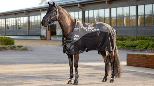 LM Carbon Cooler Rug