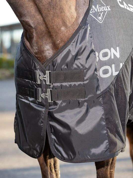 LM Carbon Cooler Rug