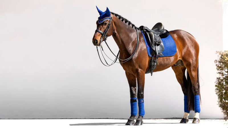 Indlæs billede i Gallery Viewer, LM CORE Suede Dressage Square Benetton

