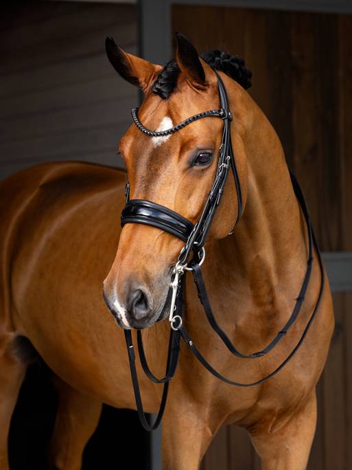 Kudos Double Bridle Black