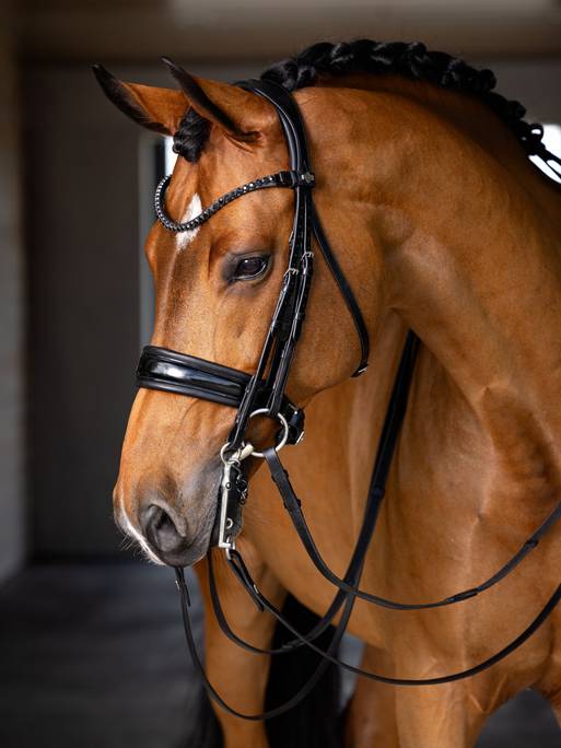 Indlæs billede i Gallery Viewer, Kudos Double Bridle Black
