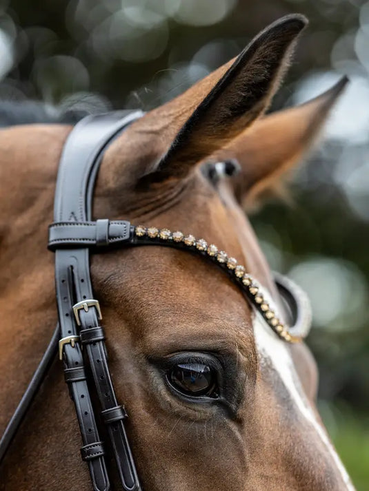 LM(F) CORE Kudos Patent Dressage Bridle Brown