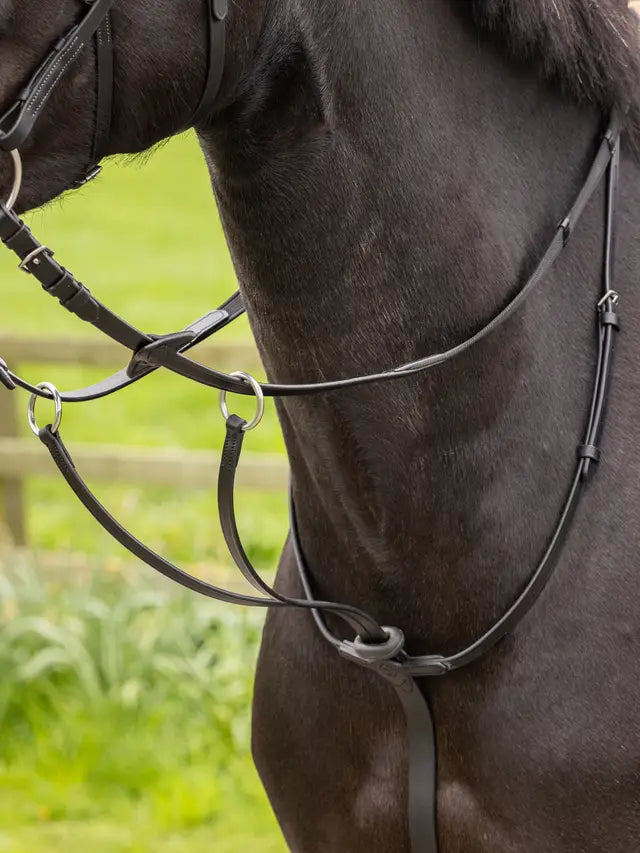 Indlæs billede i Gallery Viewer, LM(F) CORE Arika Running Martingale Black
