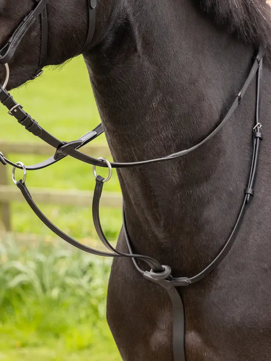 LM(F) CORE Arika Running Martingale Black