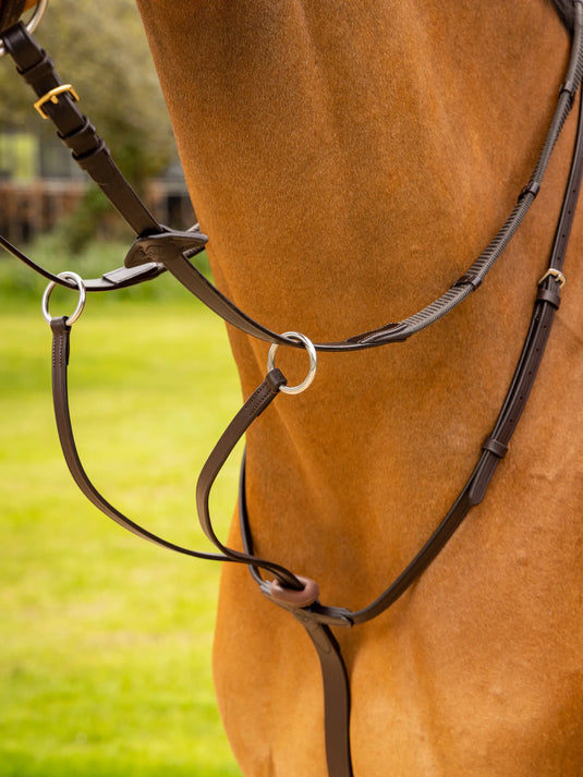 LM(F) CORE Arika Running Martingale Brown/Silver