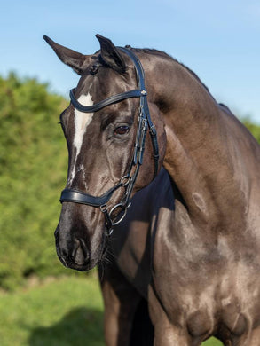 LM Arika Drop Bridle Black/Silver
