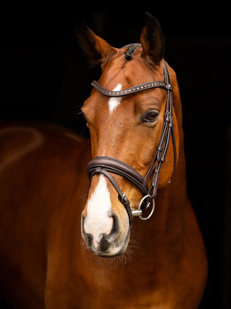 Indlæs billede i Gallery Viewer, LM Arika Dressage Bridle, Brun
