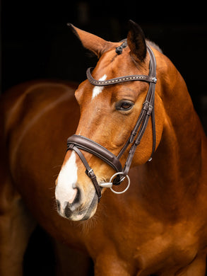 LM Arika Dressage Bridle, Brun