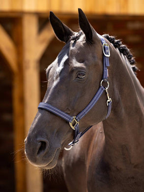 LM Neoprene Yard Headcollar Navy