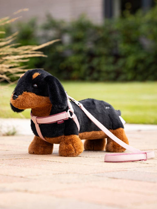 LM Toy Puppy Harness