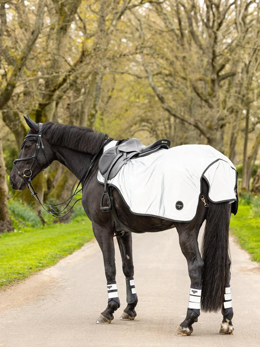 LM Reflective Exercise Sheets Navy