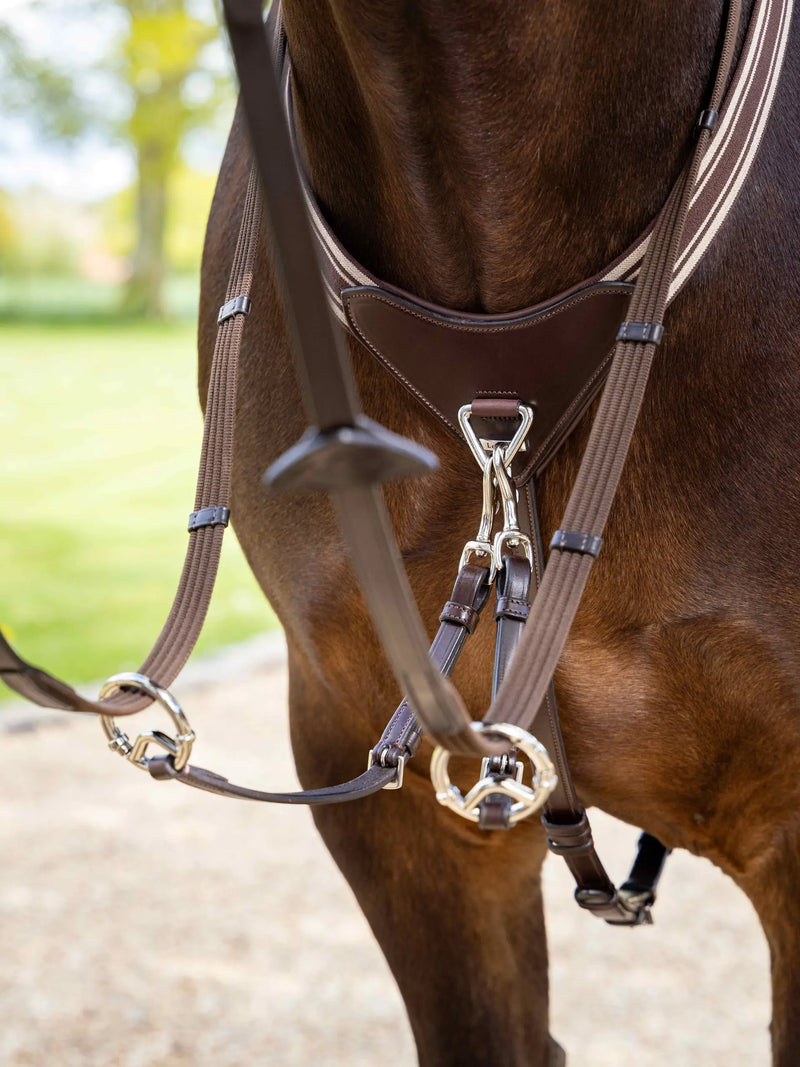 Indlæs billede i Gallery Viewer, LM(F) CORE Arika Elasticated Breastplate Havana/Silver
