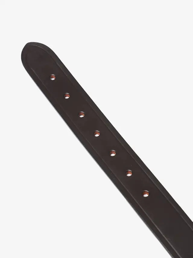 Indlæs billede i Gallery Viewer, LM(F) CORE Replacement Breakaway Headcollar Headpiece Brown
