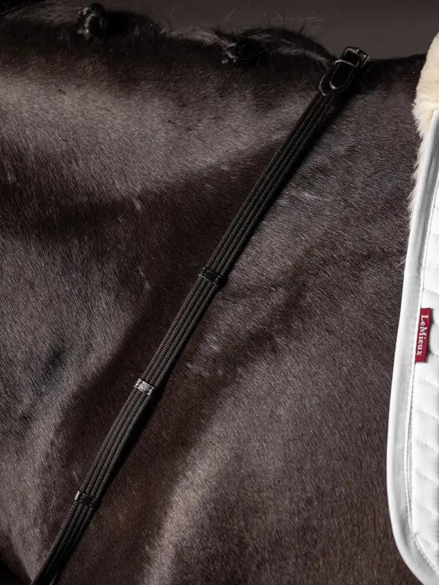 Indlæs billede i Gallery Viewer, LM(F) CORE Webbed Continental Reins Black/Silver
