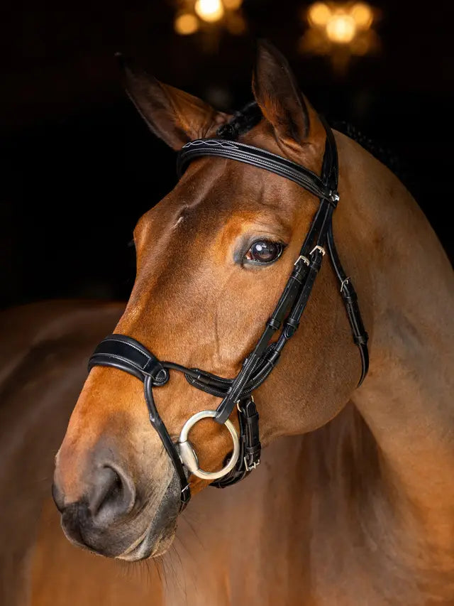 Indlæs billede i Gallery Viewer, LM(F) CORE Kudos Clear Arc Bridle Black/Silver
