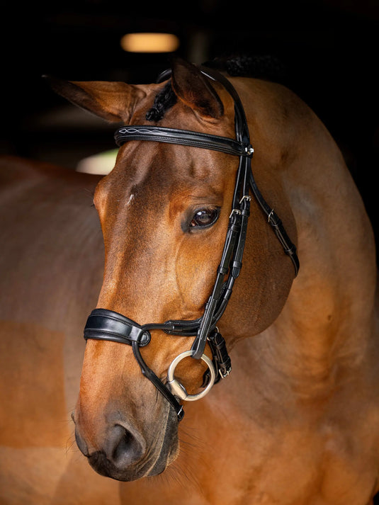 LM(F) CORE Kudos Clear Arc Bridle Black/Silver