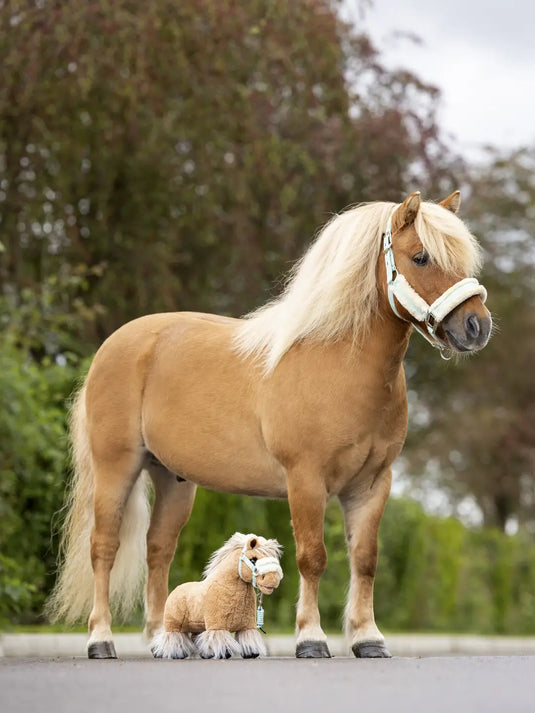 LM Toy Pony Cloudy (Limited Edition)