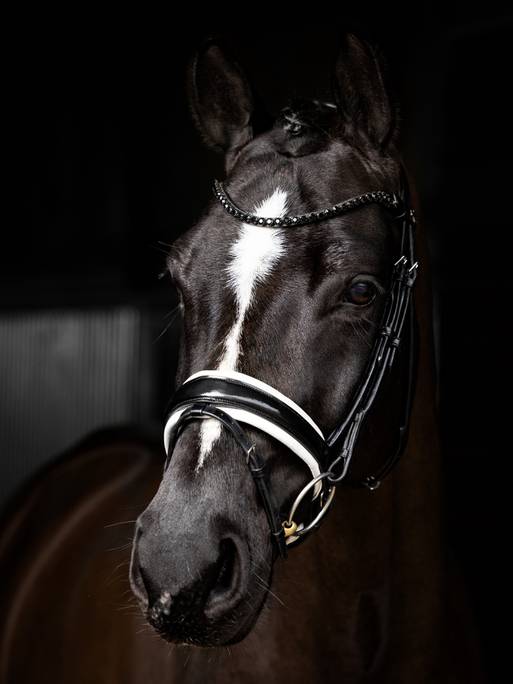 Indlæs billede i Gallery Viewer, Kudos Patent Dressage Bridle Black/White
