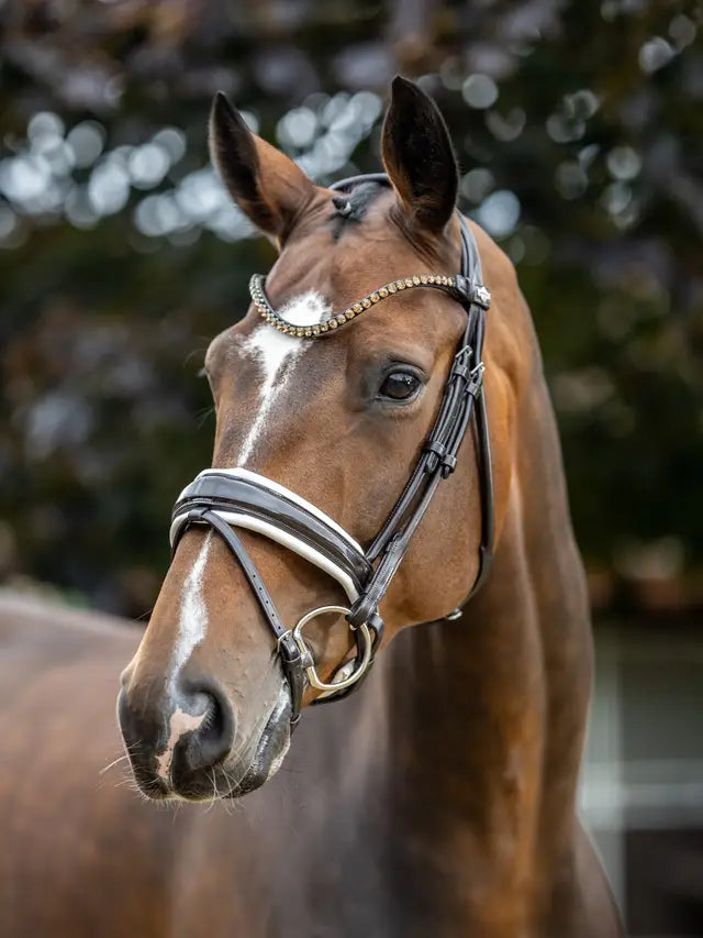 Indlæs billede i Gallery Viewer, LM(F) CORE Kudos Patent Dressage Bridle Brown/White
