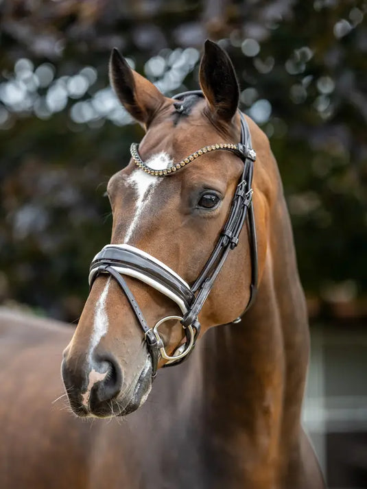LM(F) CORE Kudos Patent Dressage Bridle Brown/White
