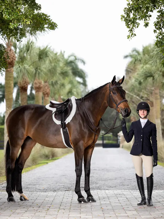 LM(F) CORE Hunter Standing Martingale Havana/Silver
