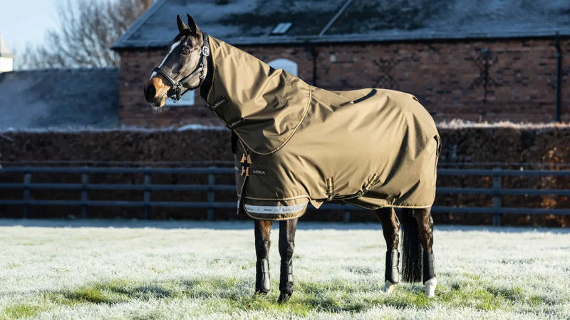 Indlæs billede i Gallery Viewer, LM(F) CORE Arika Ripstop Turnout Rug 200g Alpine
