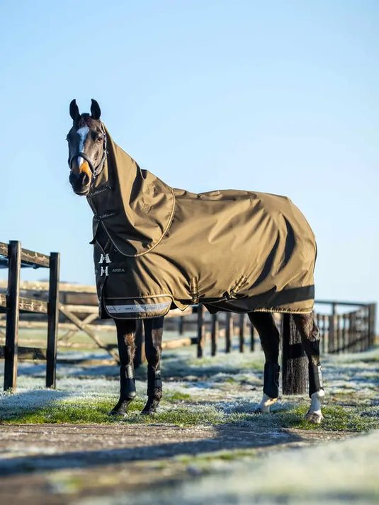 LM(F) CORE Arika Ripstop Turnout Rug 100g Alpine