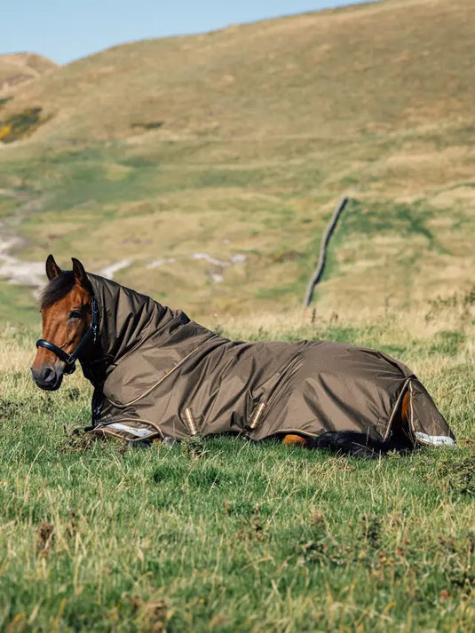 LM(F) CORE Arika Ripstop Turnout Rug 100g Alpine