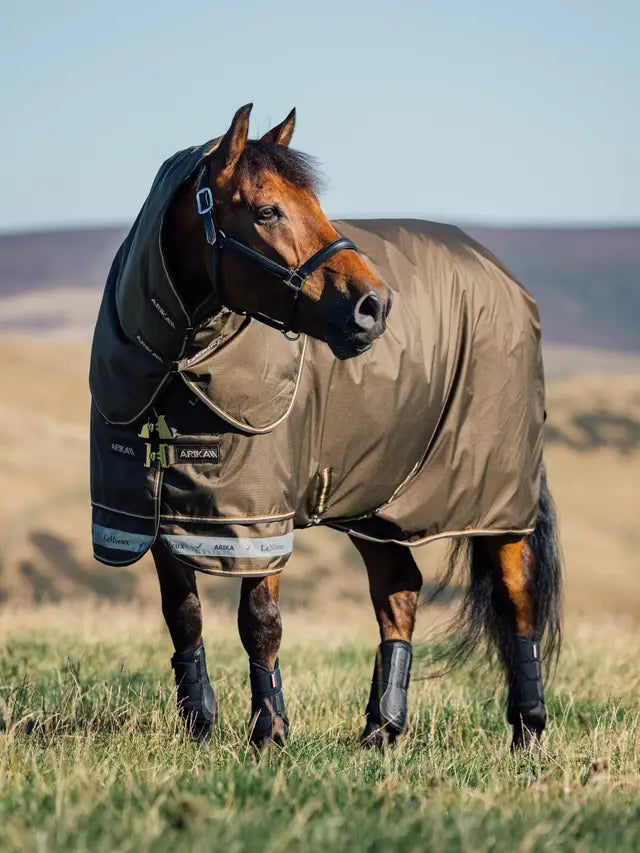 Indlæs billede i Gallery Viewer, LM(F) CORE Arika Ripstop Turnout Rug 200g Alpine
