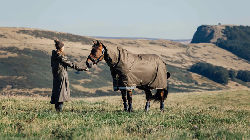 Indlæs billede i Gallery Viewer, LM Arika 600D Ripstop 50g Turnout Rug Alpine
