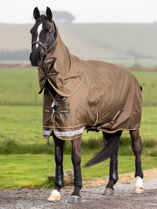 LM(F) CORE Arika Ripstop Turnout Rug 200g Alpine