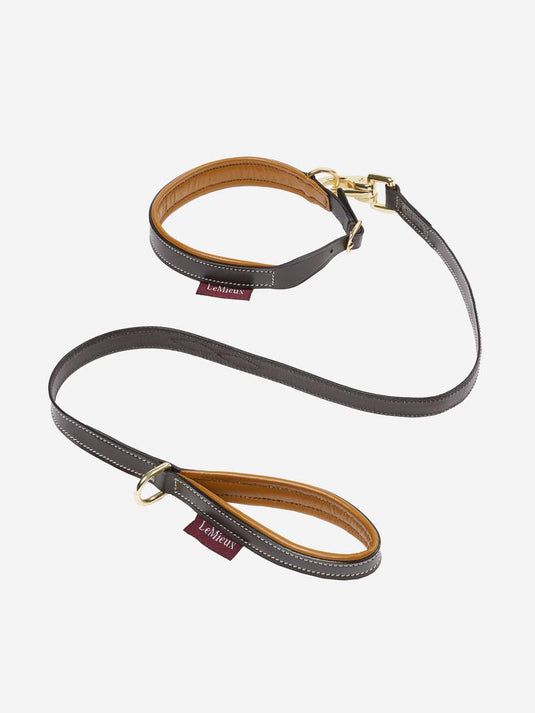 AW24 Toy Puppy Collar & Lead Ginger/Brown