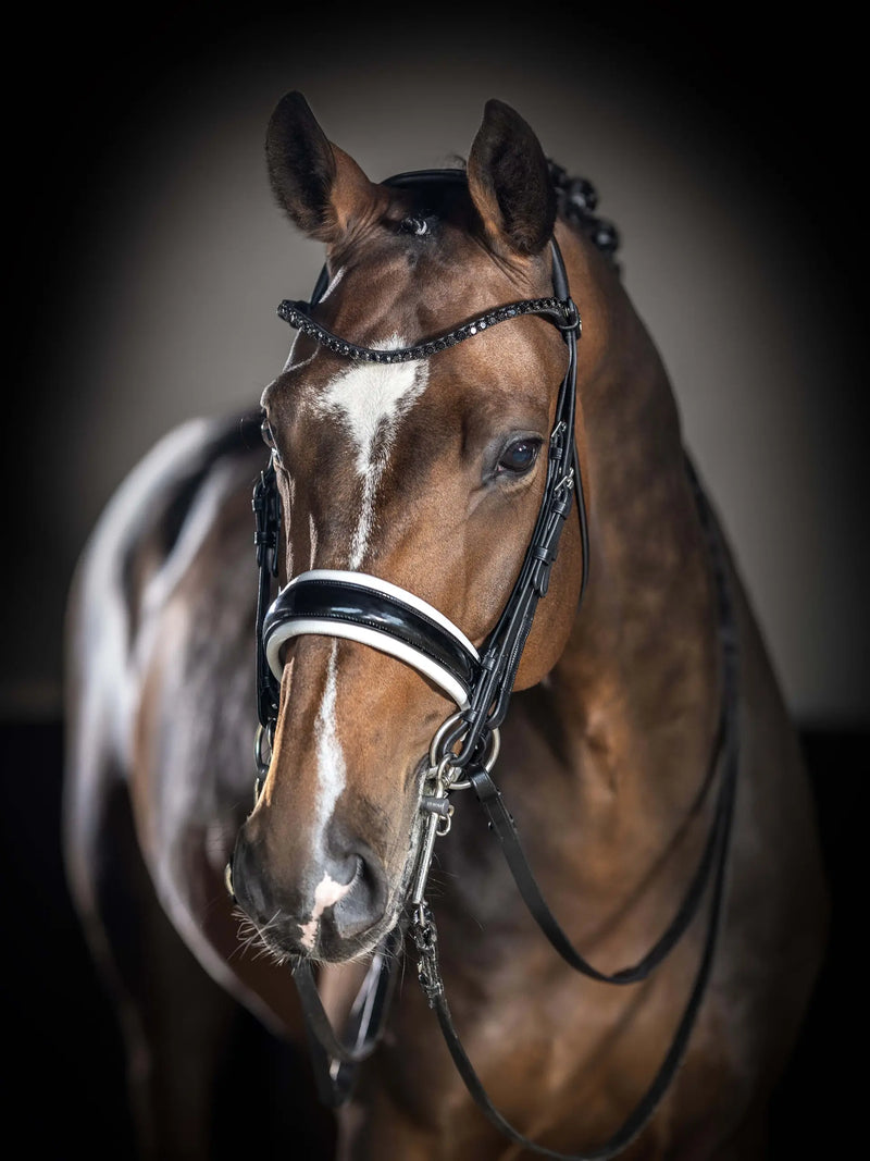 Indlæs billede i Gallery Viewer, LM(F) CORE Kudos Double Bridle Black/White
