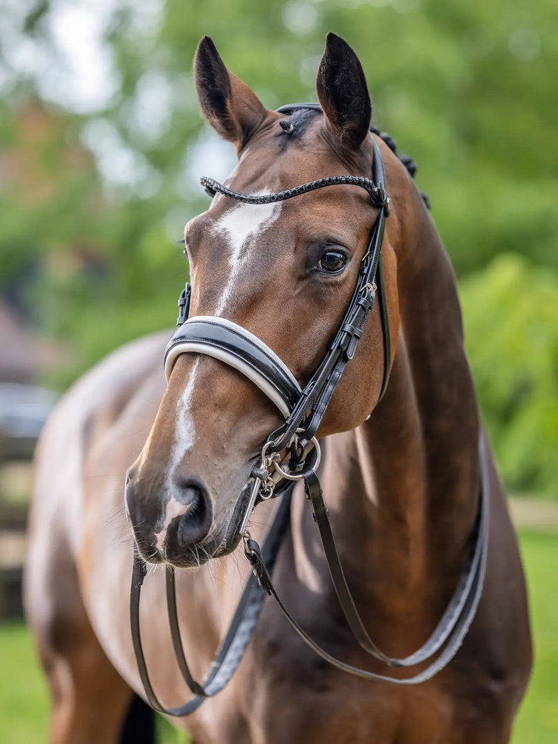 Indlæs billede i Gallery Viewer, LM(F) CORE Kudos Double Bridle Black/White
